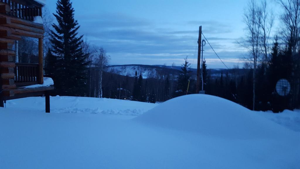 Wildmoon Home Fairbanks Luaran gambar