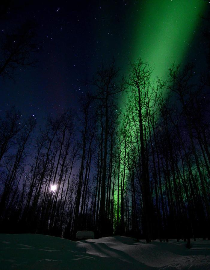 Wildmoon Home Fairbanks Luaran gambar